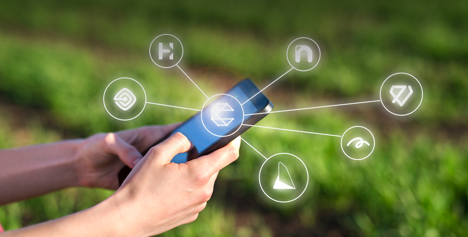 Startups do agronegócio: conheça as 6 agtechs da Aliare
