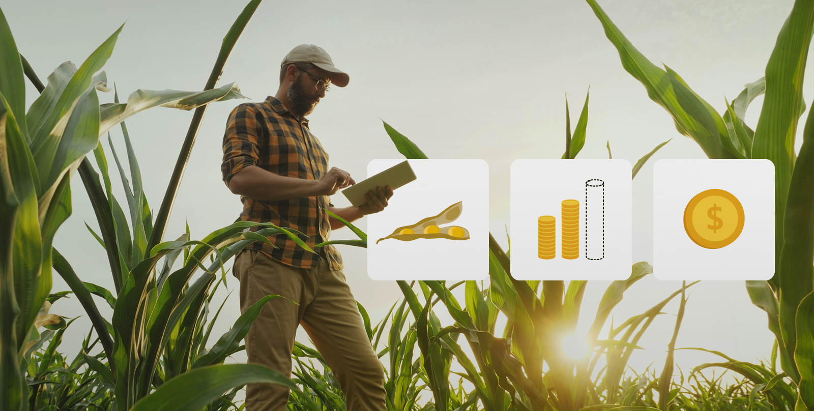 Impactos da reforma tributária nos créditos fiscais no agro