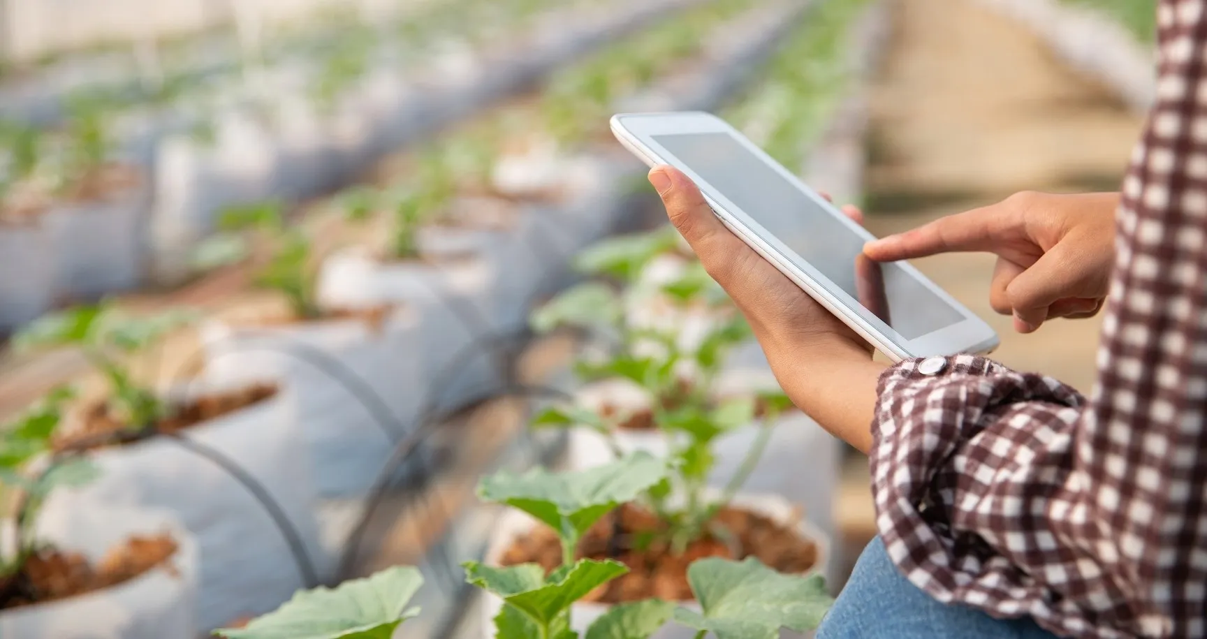 ERP no agronegócio: como escolher a melhor solução para a sua empresa