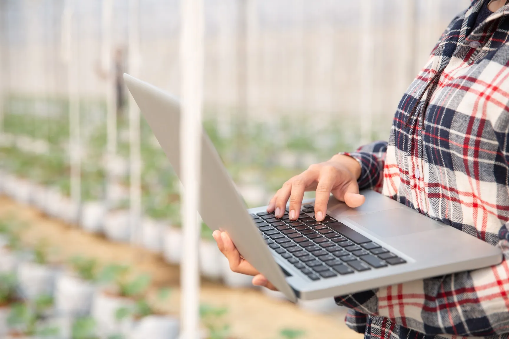 Software de Gestão Agrícola: otimizando processos e ganhos no campo