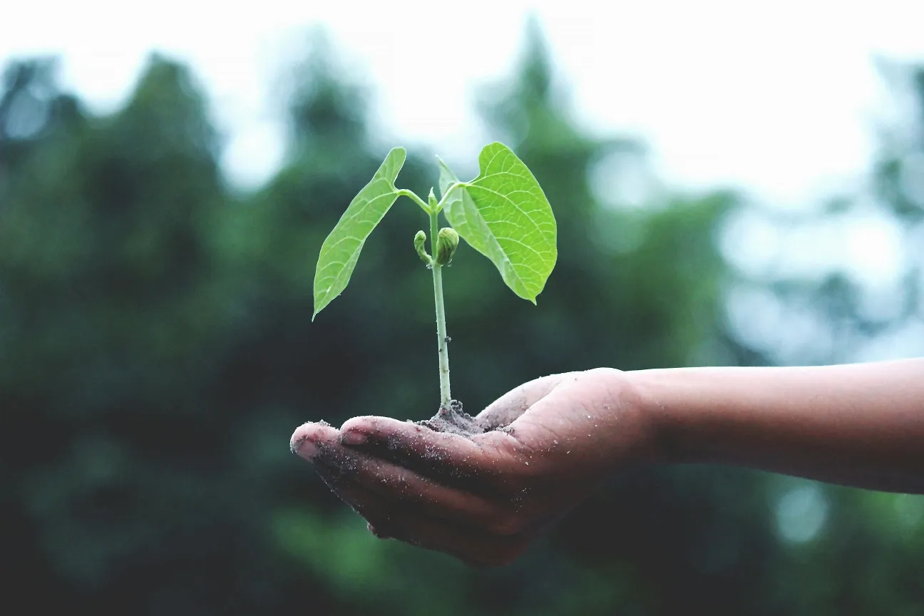 Revolução Verde: origens, avanços e impactos para o agronegócio