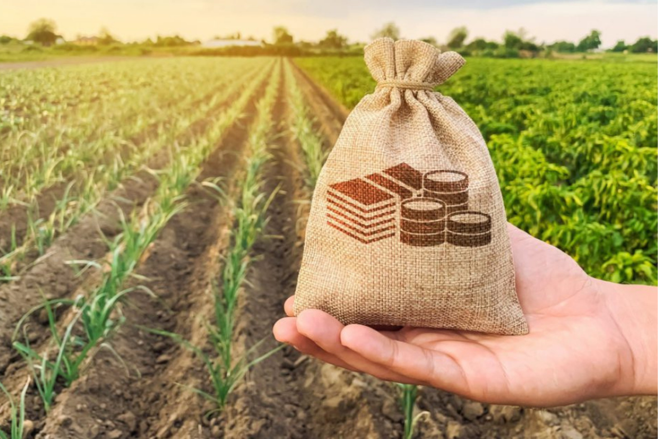 A reforma tributária é boa para pequenos produtores rurais?