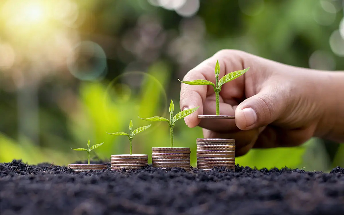 Reforma tributária: o que é o IVA e seu impacto no agro