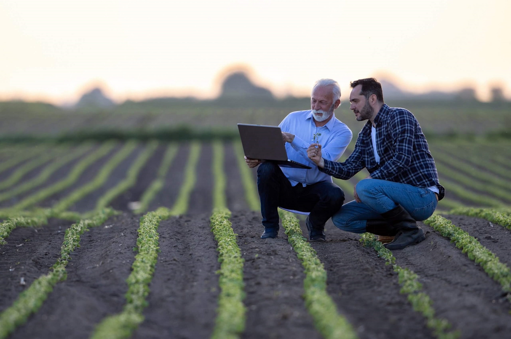 Reforma tributária: como impacta o ERP Siagri Agribusiness?