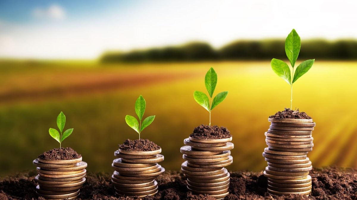 Reforma tributária e Seguro Rural: veja as mudanças