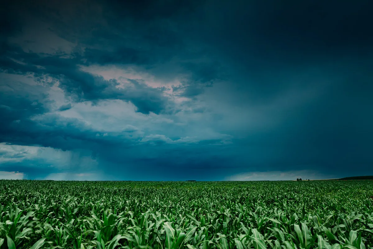 Como o clima influencia a agricultura: impactos, riscos e soluções para o agronegócio