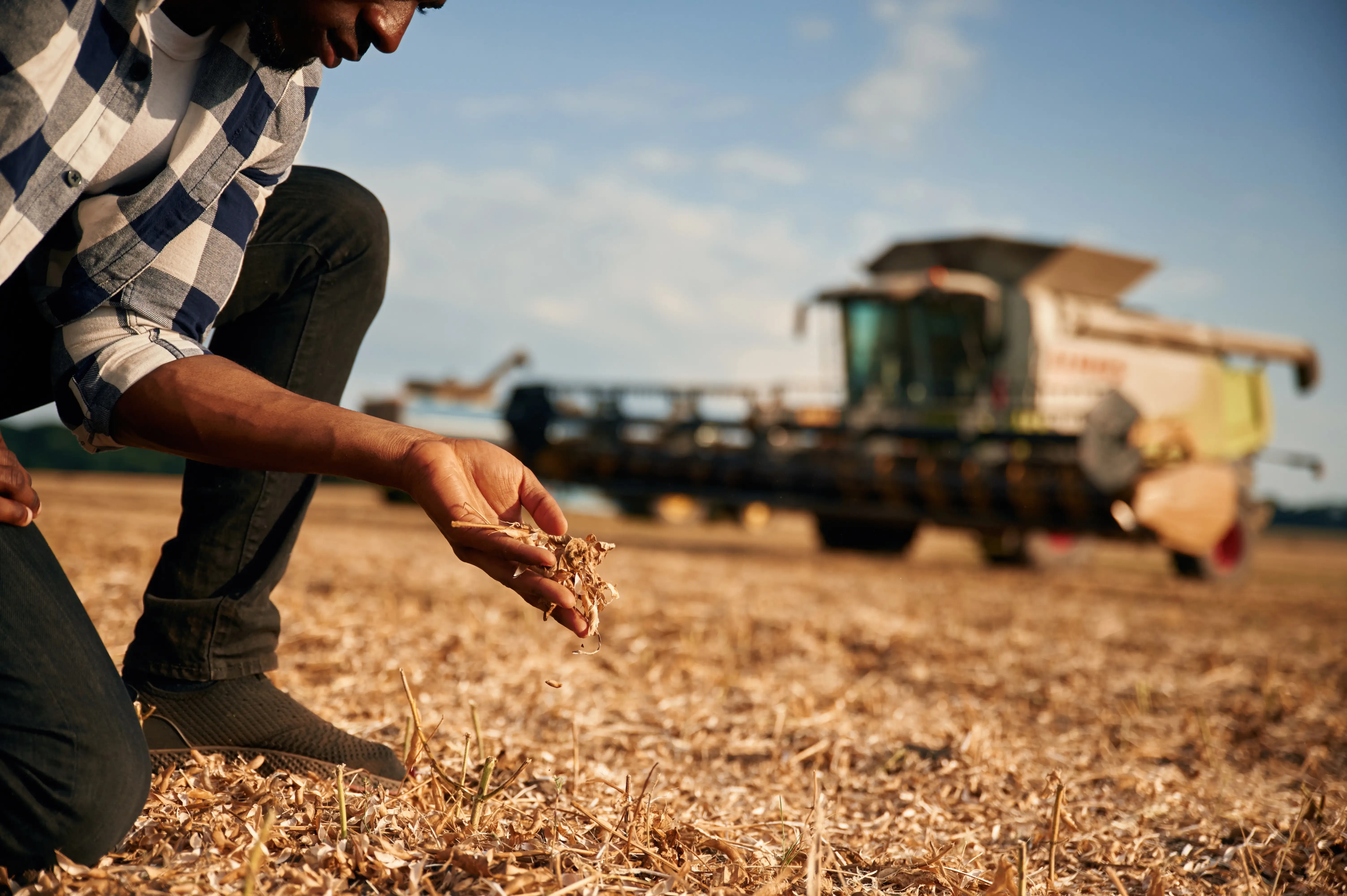 Plano Safra: o que é e como funciona