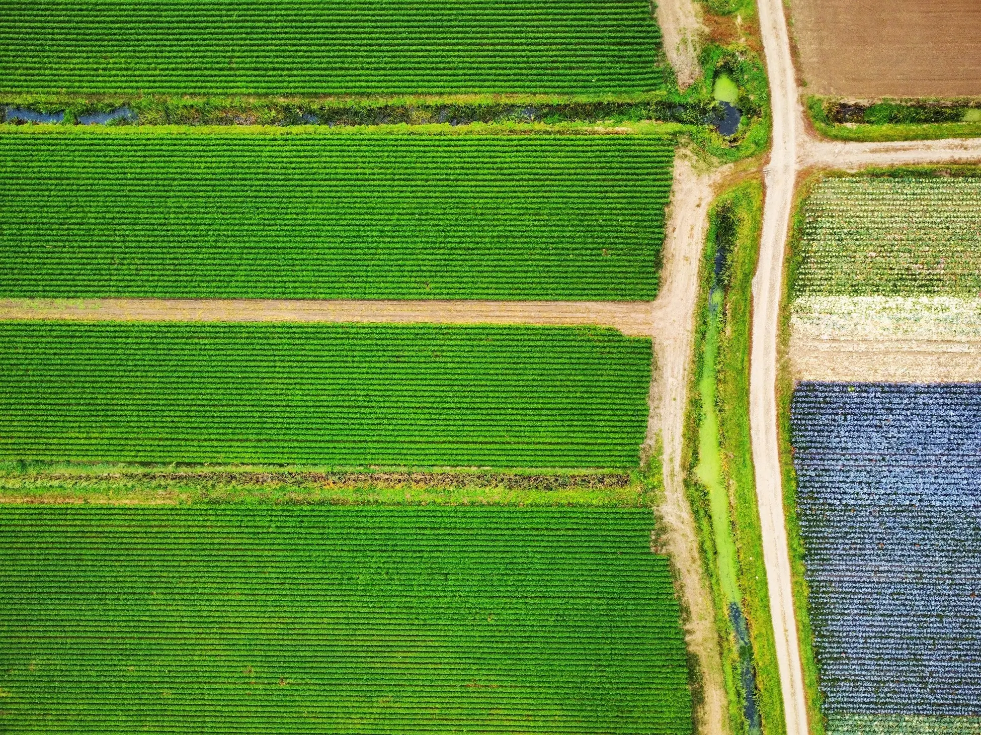 Sensoriamento remoto: como usar no agronegócio