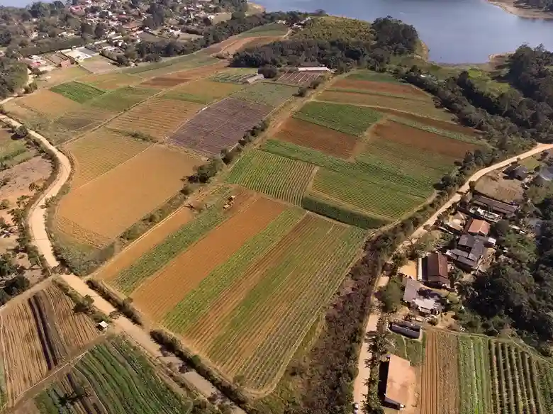 Georreferenciamento na agricultura: benefícios e aplicações