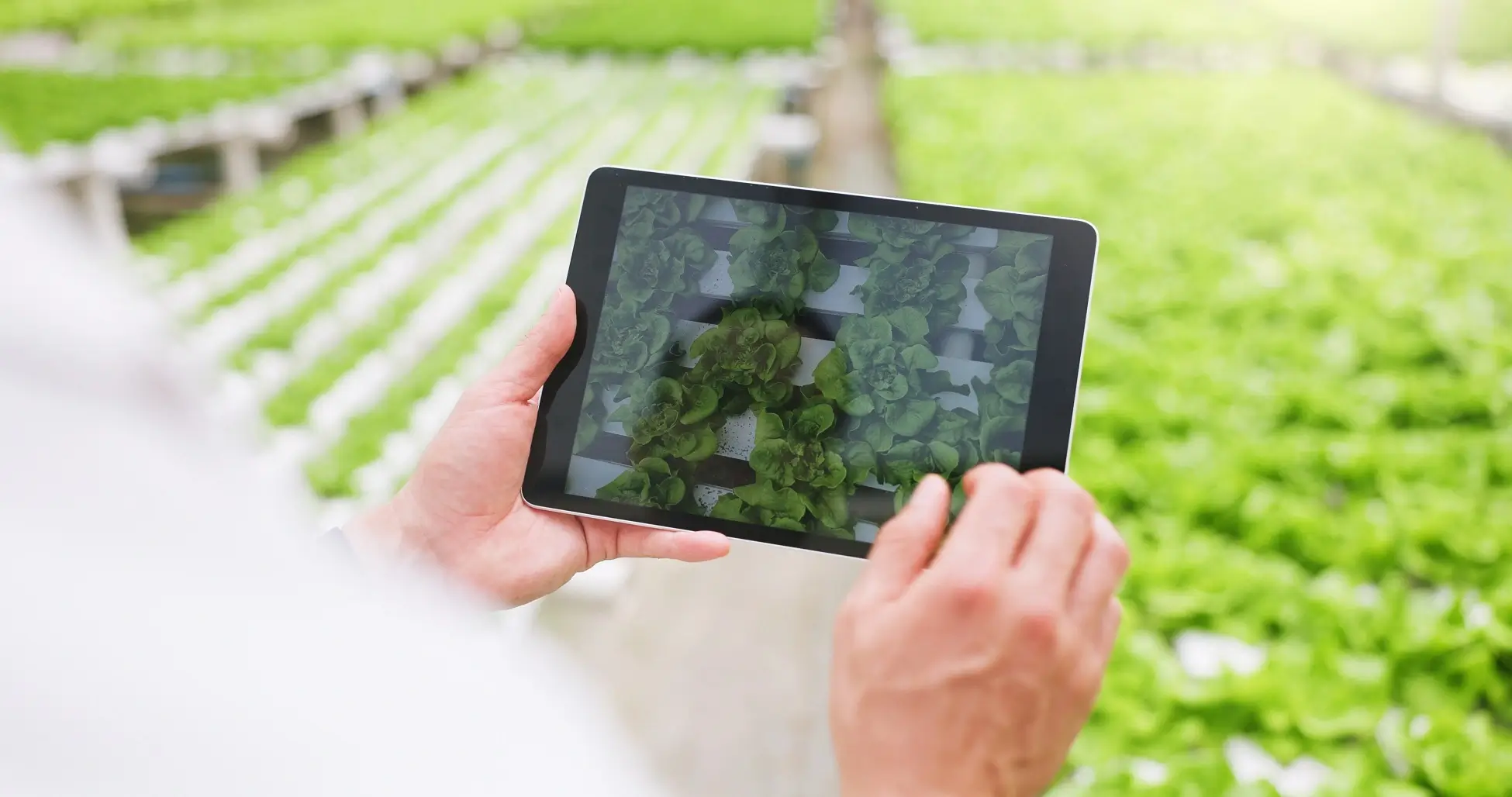 Agricultura digital: o que é, benefícios e tendências