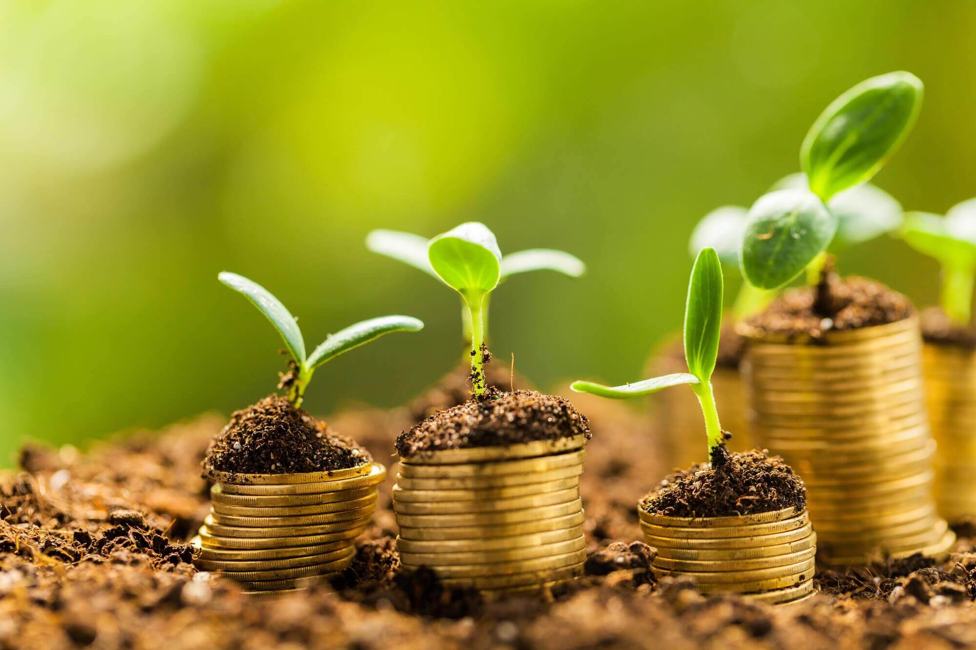 Novo cenário do mercado de crédito no agronegócio e estratégias de gestão de riscos